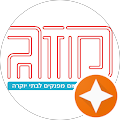 תמונה