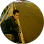 budi Mulyono