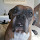christine...@gmail.com's profile photo