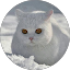 David Johnson profile picture