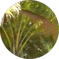 Avatar de C.i