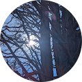 User profile - Elaine Mullins.