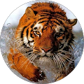 Avatar de Régis.a