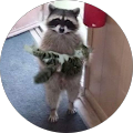 Avatar de Guillaume.u