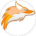 Soaring Eagle Data Solutions - Apollo Beach, Florida