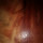 Rodolfo Germano Ratz Gerber's profile photo