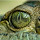 alojz...@gmail.com's profile photo