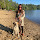 Adrianne Greer's profile photo