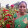 PRABHA VATHI's profile photo