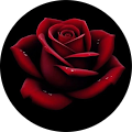 Avatar de Gwendoline.e