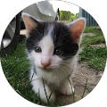 Avatar de Stéphane.o