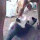 Strassenbahnhaltestelle's profile photo