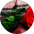 Avatar de Sophie.e