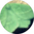 Avatar de Hergat.o