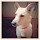 福田尚三's profile photo