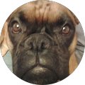 Avatar de Jean.l