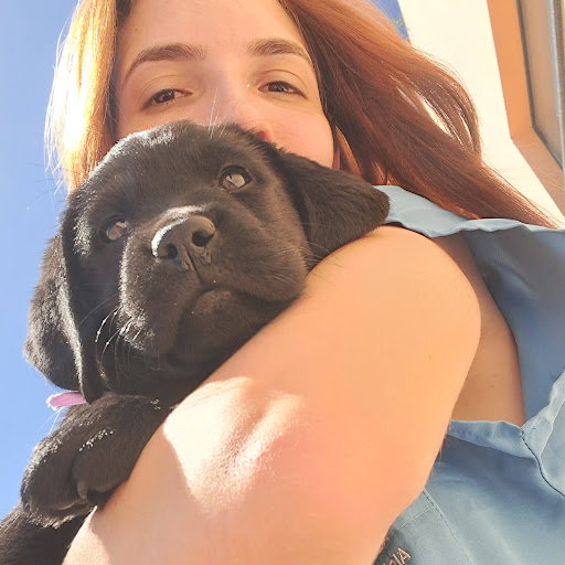 Clínica Veterinária Ri Dog - Unidade Flechas — foto 5