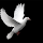 Jeanesita Cortez S.'s profile photo