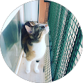 Endovet Albacete - 
