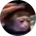 macaco