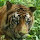 Arun V's profile photo