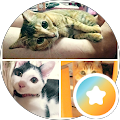 Tomo N (buttchi)