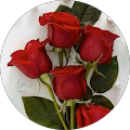 Avatar de imane.m