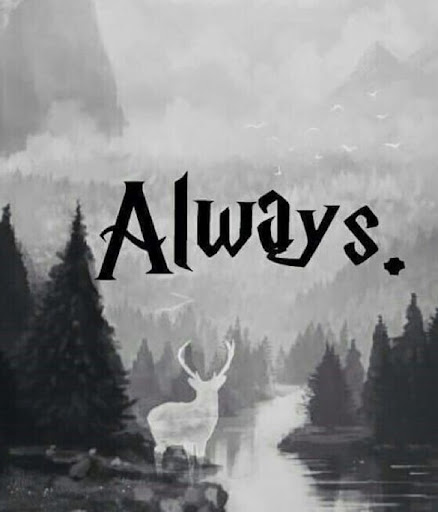 Benjamin Izquierdo Somovilla