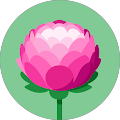 Avatar de henri.e