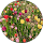 보리