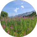 LSM PAYSAGE - Bosc-le-Hard