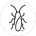 Ria Agapoglou