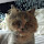 alb...@gmail.com's profile photo