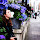 Kasia Polanska's profile photo