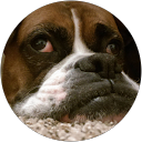 Derek Hawley (Deeds)'s profile image