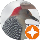 Heather Schoenberger's profile image