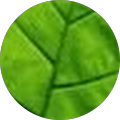 The Heart of Touch Massage & Birth Support - La Grange, Illinois