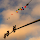 mdr...@gmail.com's profile photo