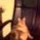 Abir's profile photo