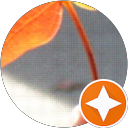 Wim Marstong's profile image
