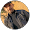 Ghazwan Mohammed Jasem