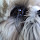Alexandre Laudet's profile photo