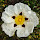 jm...@hotmail.com's profile photo