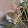 Gronis's profile photo