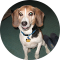 Edward Jones - Financial Advisor: Christopher M Reilly - Troy, New York