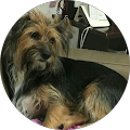 Avatar de Corinne.i