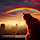 lan...@gmail.com's profile photo