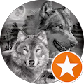 Tierarztpraxis Thomas Willer - Bösel