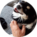 Avis de Rupertine.� avec une note de 4 sur 5