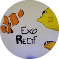 Avis de Exo.e avec une note de 1 sur 5